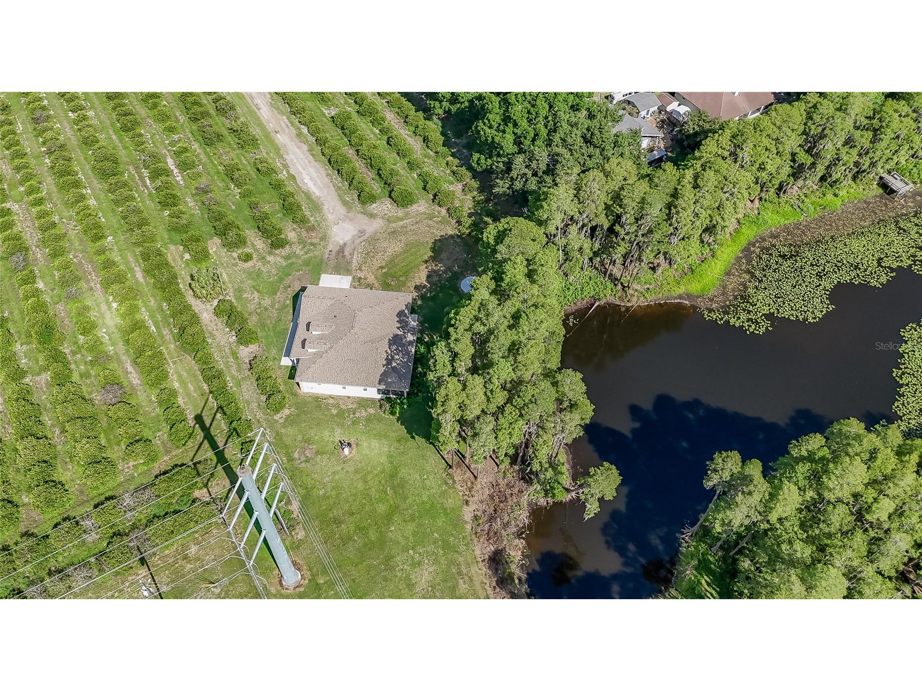 2610 Cabot Road Land O Lakes FL 34639 TB8514910 image48