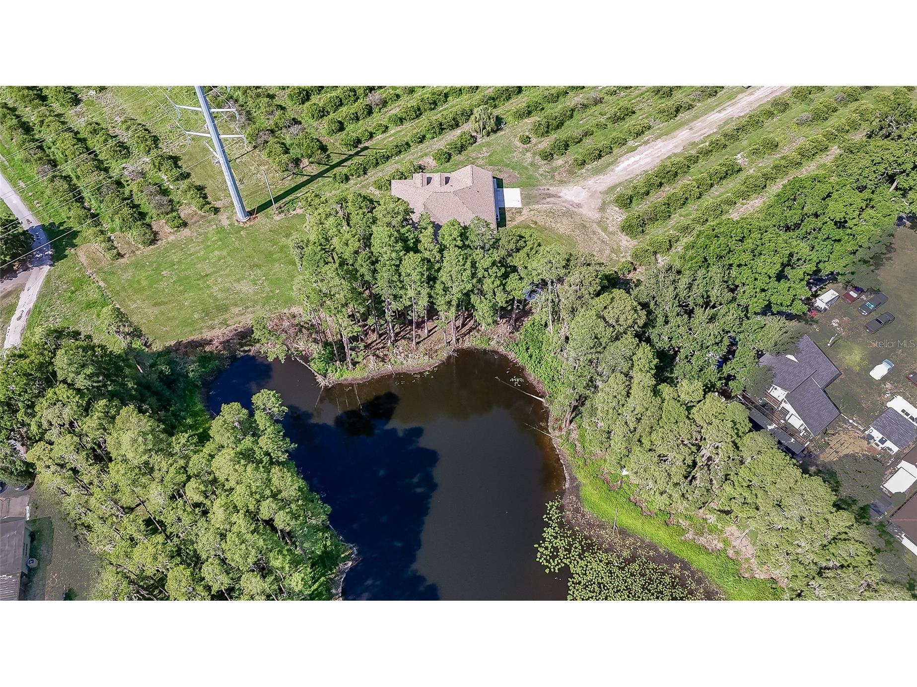 2610 Cabot Road Land O Lakes FL 34639 TB8514910 image51