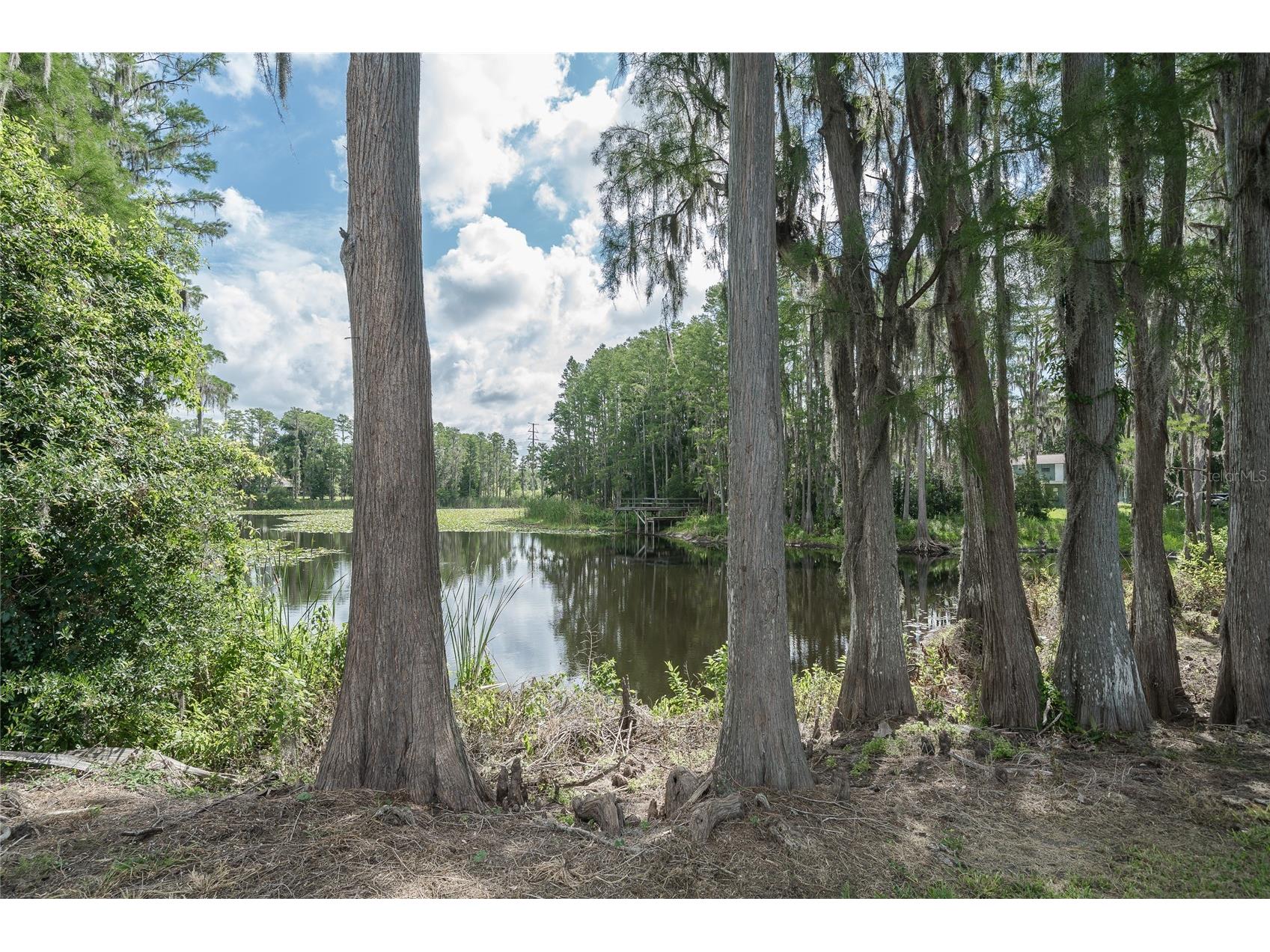 2610 Cabot Road Land O Lakes FL 34639 TB8514910 image58