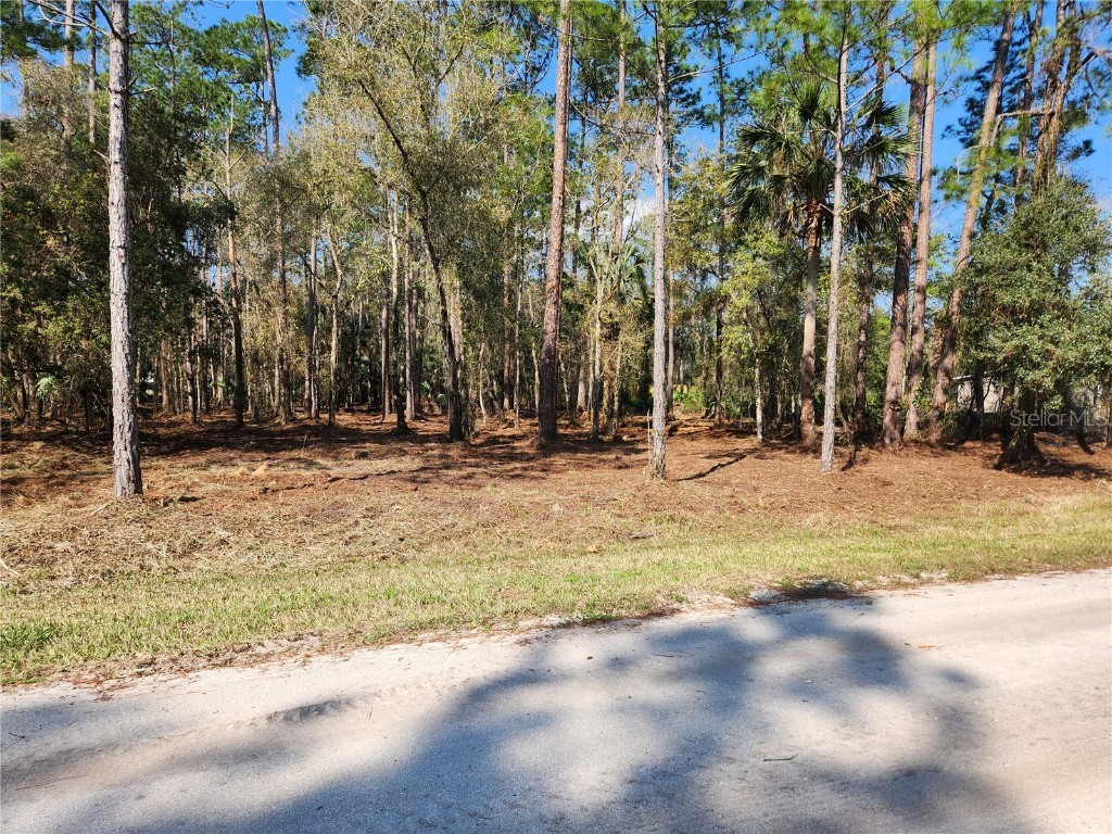 2610 Sandlewood Lane Bunnell FL 32110 FC289421 image1