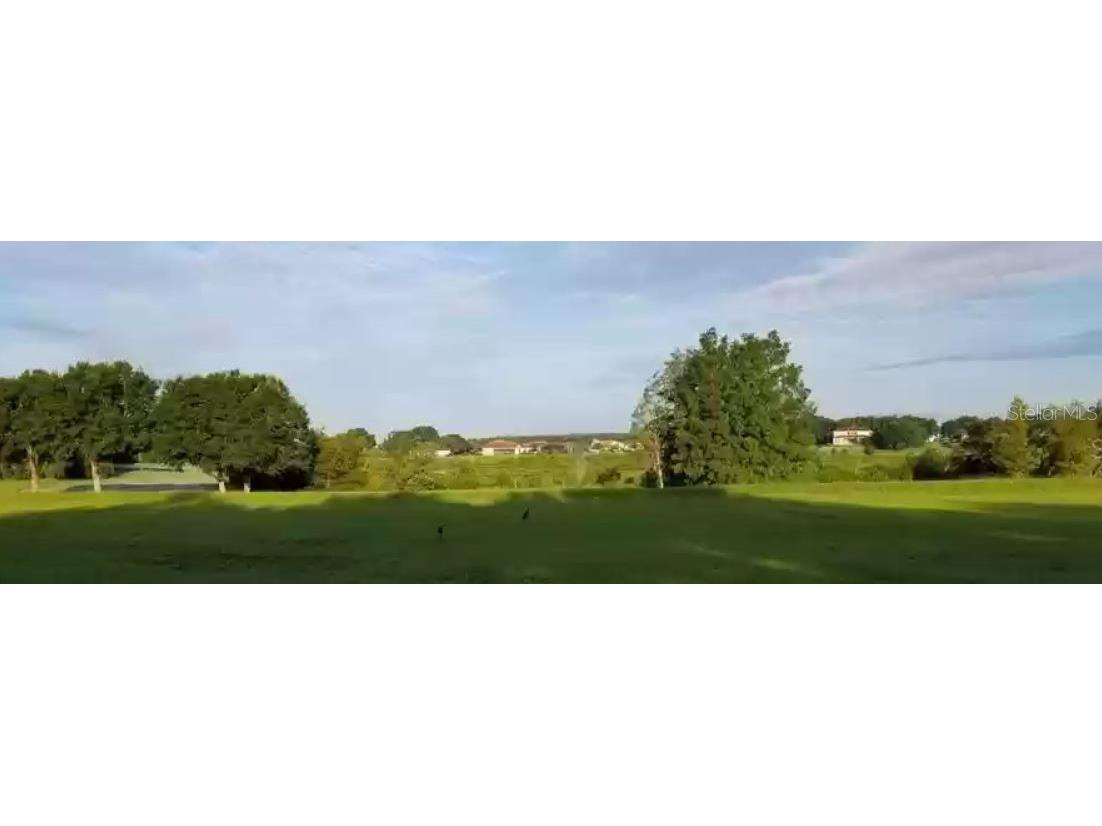 26108 Estates Ridge Drive Sorrento FL 32776 O6056321 image1