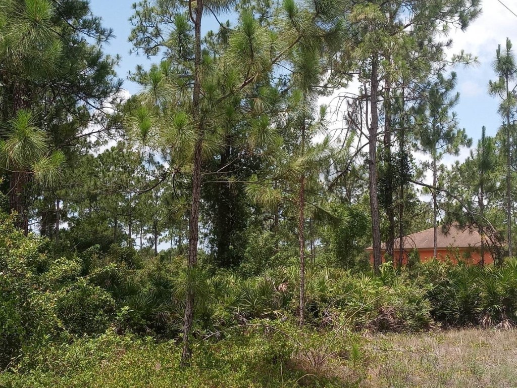 2611 33rd Street W Lehigh Acres FL 33971 T3432172 image1