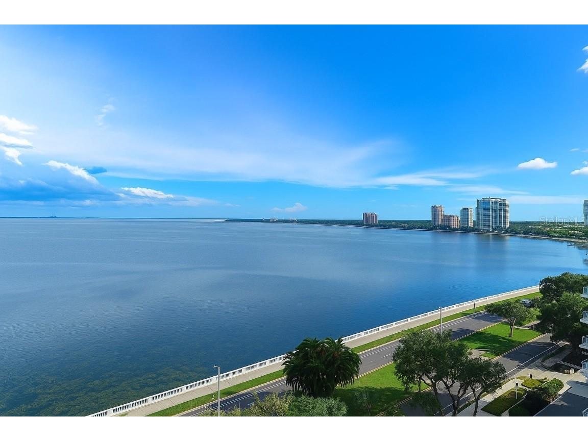 2611 Bayshore Boulevard #1202 Tampa FL 33629 - HILLSBOROUGH BAY TB8448250 image28
