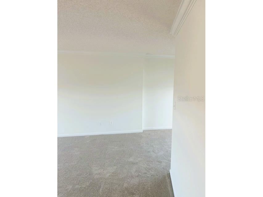 2611 Bayshore Boulevard #1805 Tampa FL 33629 TB8480760 image10