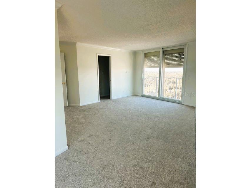 2611 Bayshore Boulevard #1805 Tampa FL 33629 TB8480760 image14