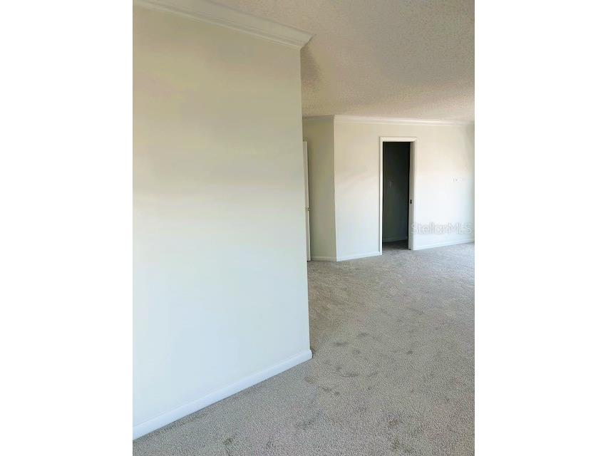 2611 Bayshore Boulevard #1805 Tampa FL 33629 TB8480760 image15