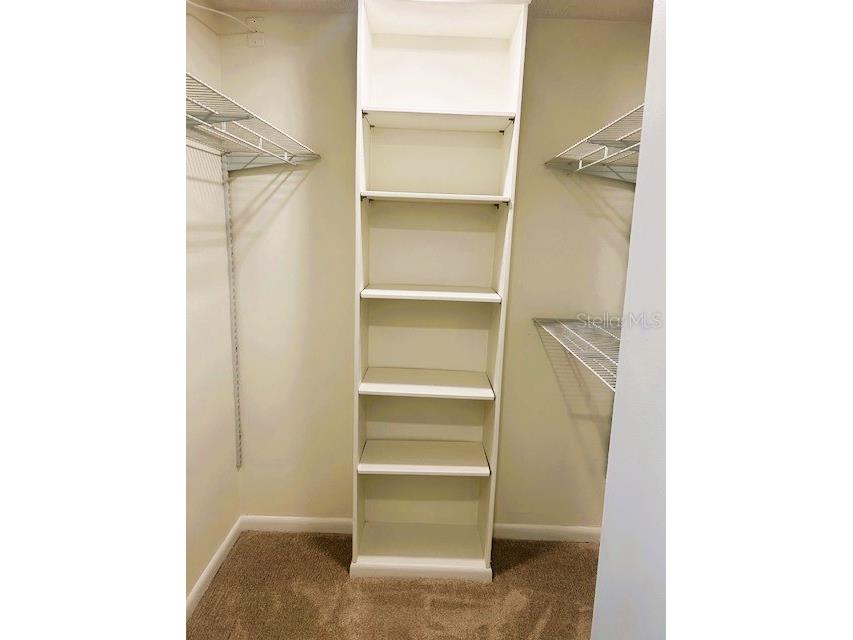 2611 Bayshore Boulevard #1805 Tampa FL 33629 TB8480760 image17