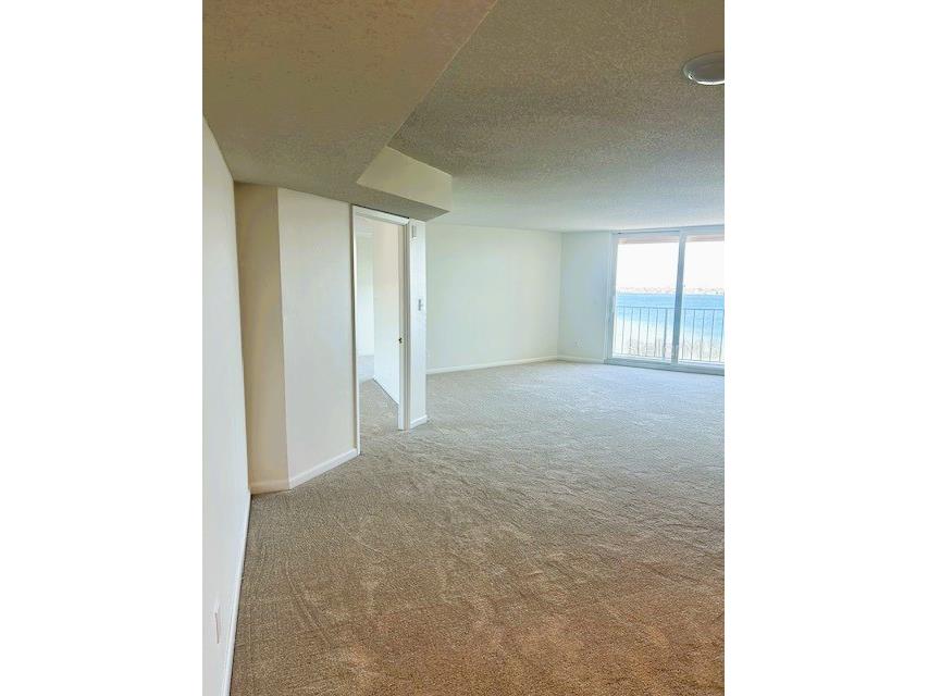 2611 Bayshore Boulevard #1805 Tampa FL 33629 TB8480760 image4