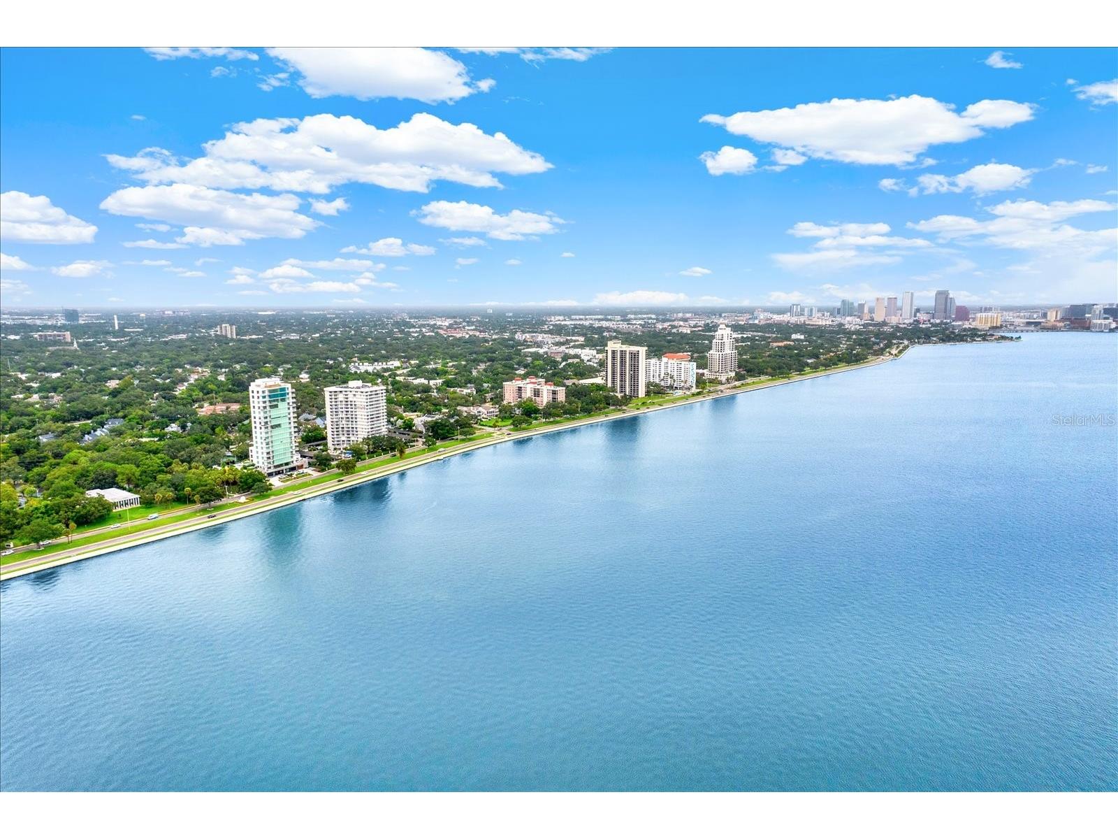 2611 Bayshore Boulevard #304 Tampa FL 33629 TB8508257 image35