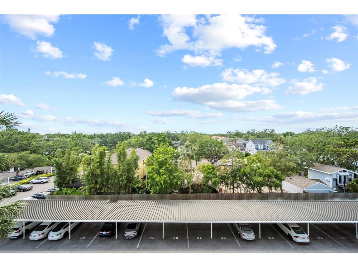 2611 Bayshore Boulevard #504 Tampa FL 33629 TB8381079 image37