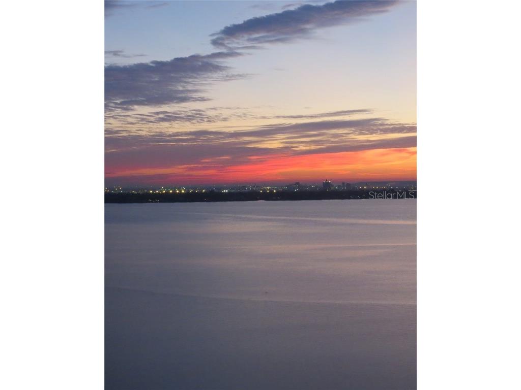 2611 Bayshore Boulevard #507 Tampa FL 33629 T3341671 image1