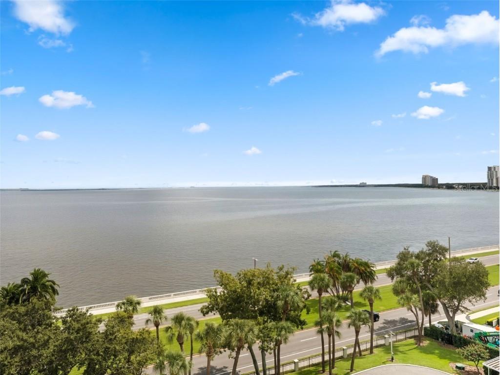 2611 Bayshore Boulevard #903 Tampa FL 33629 TB8427655 image31