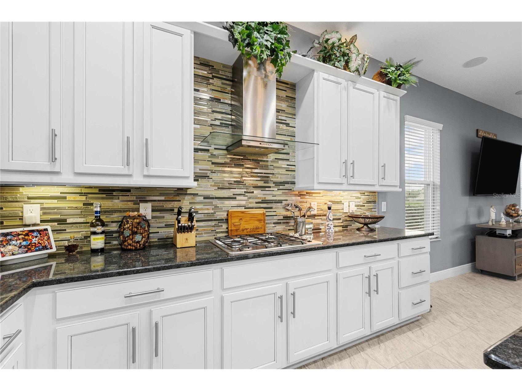 2611 Coco Palm Circle Wesley Chapel FL 33543 TB8464286 image31