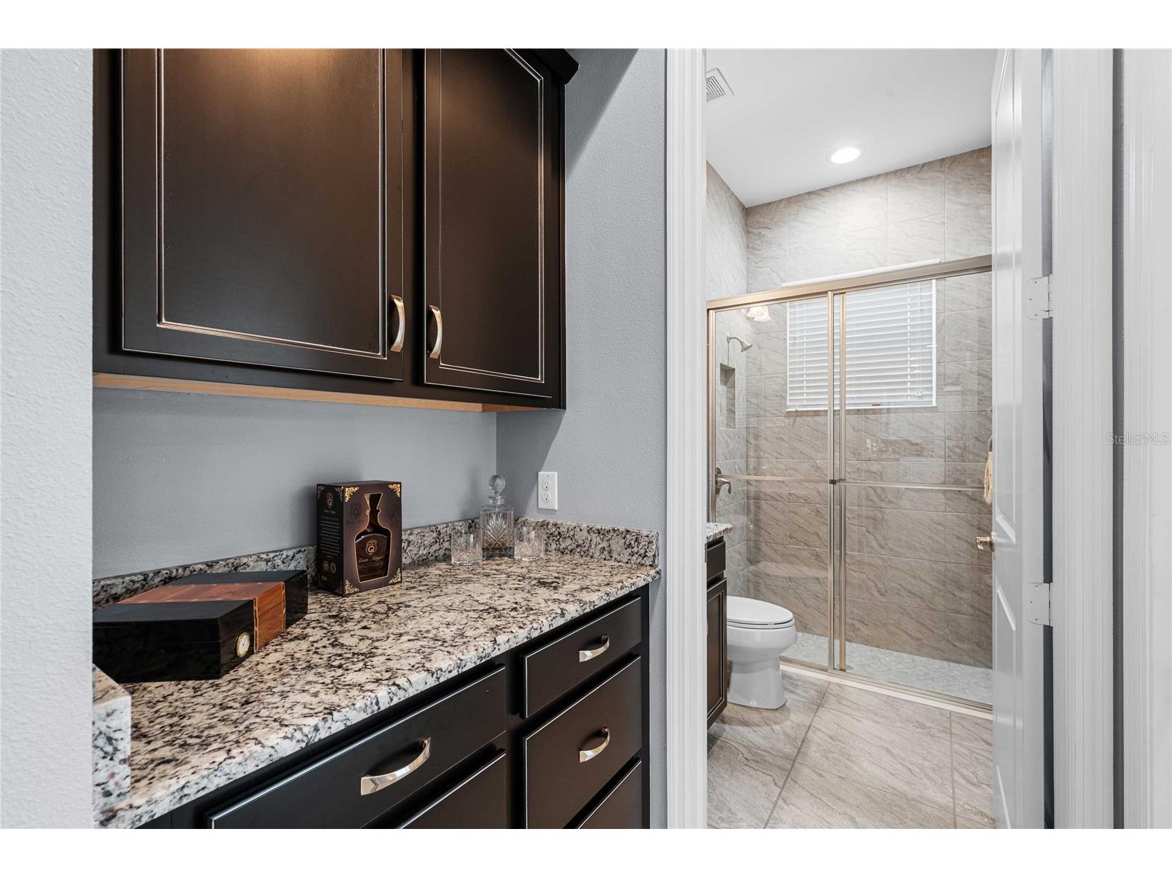 2611 Coco Palm Circle Wesley Chapel FL 33543 TB8464286 image40