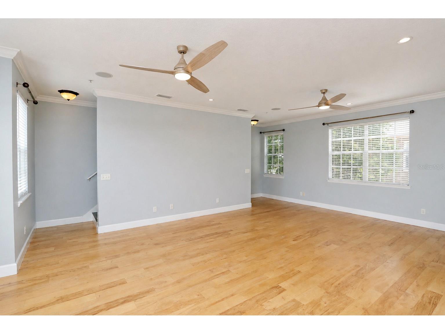 2611 Espana Court Tampa FL 33609 TB8502663 image3