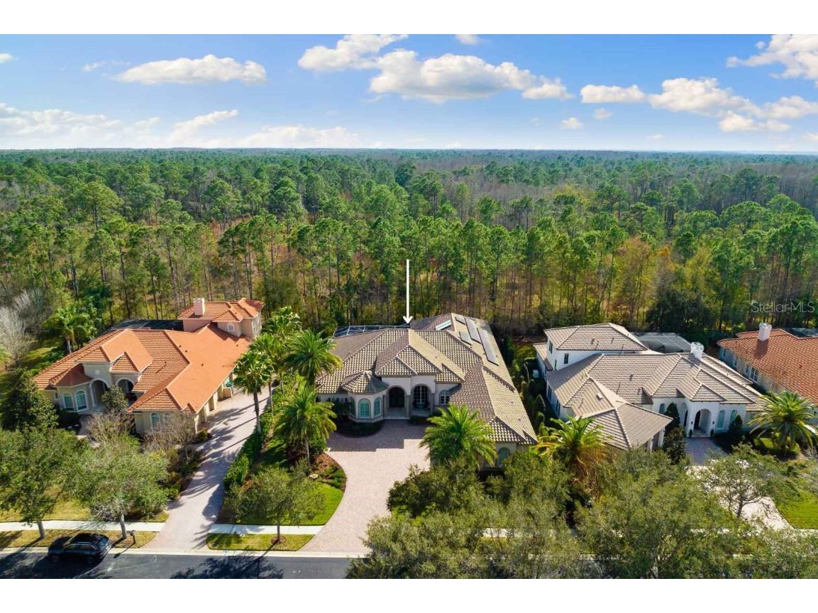 2611 Hawks Landing Boulevard Palm Harbor FL 34685 U8246224 image1