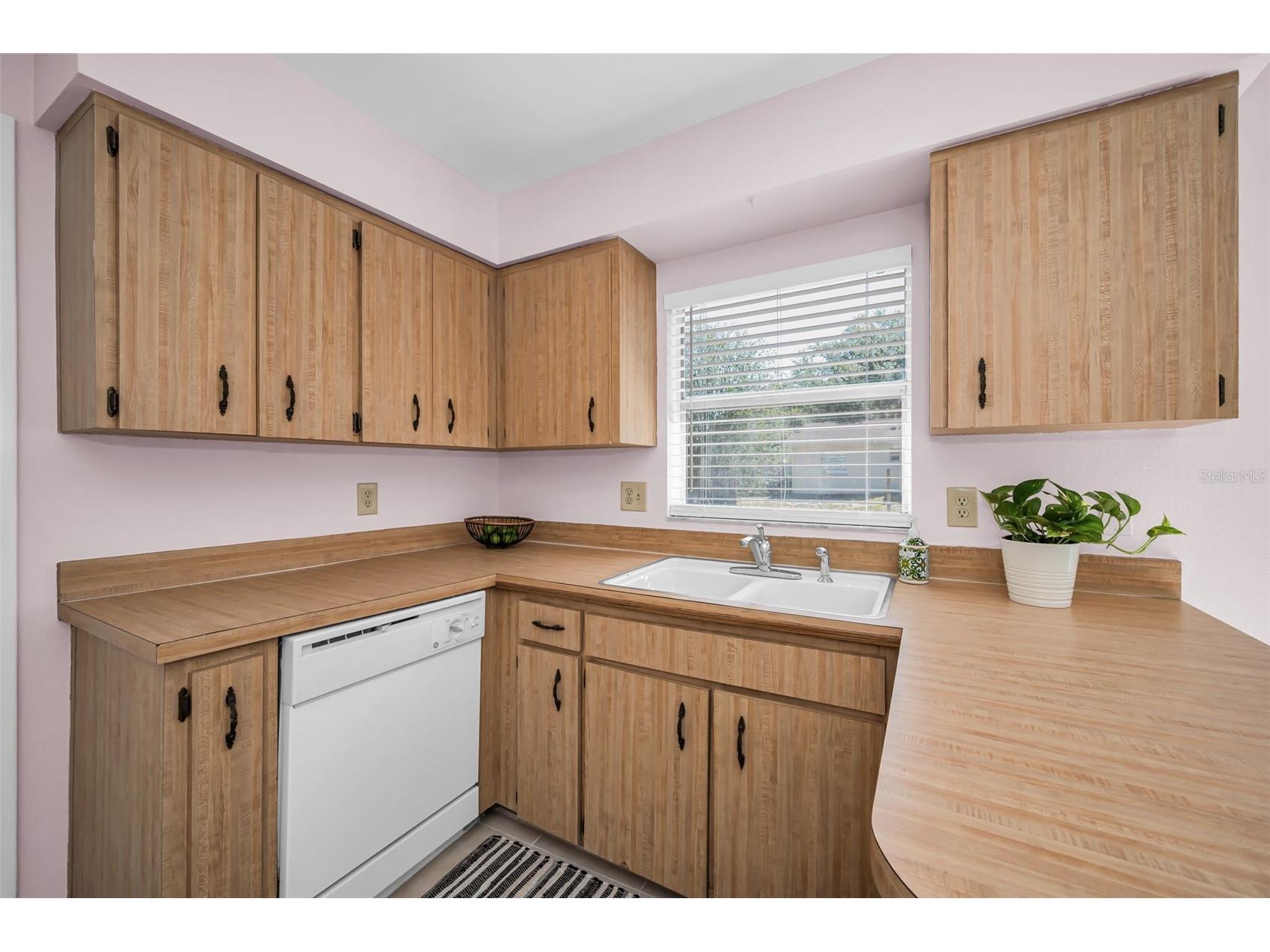2611 Knoll Street W Palm Harbor FL 34683 TB8503378 image13