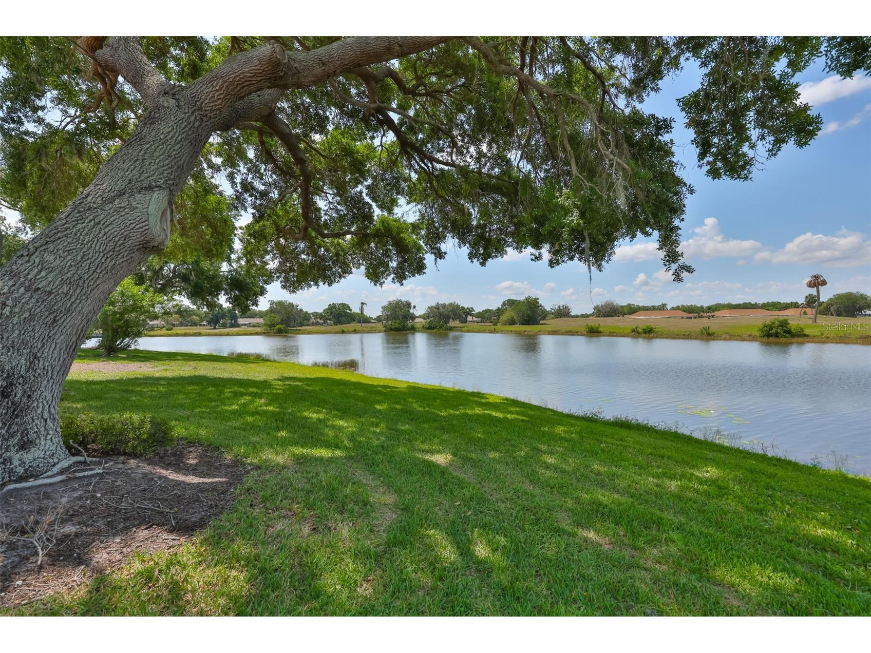 2611 Locksley Street #250 Sun City Center FL 33573 TB8501966 image39