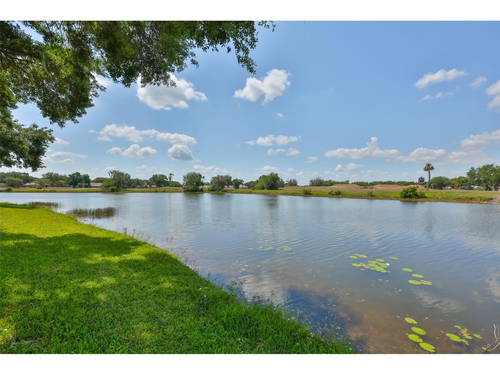 2611 Locksley Street #250 Sun City Center FL 33573 TB8501966 image40