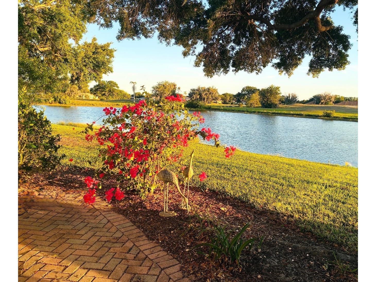 2611 Locksley Street #250 Sun City Center FL 33573 TB8501966 image43