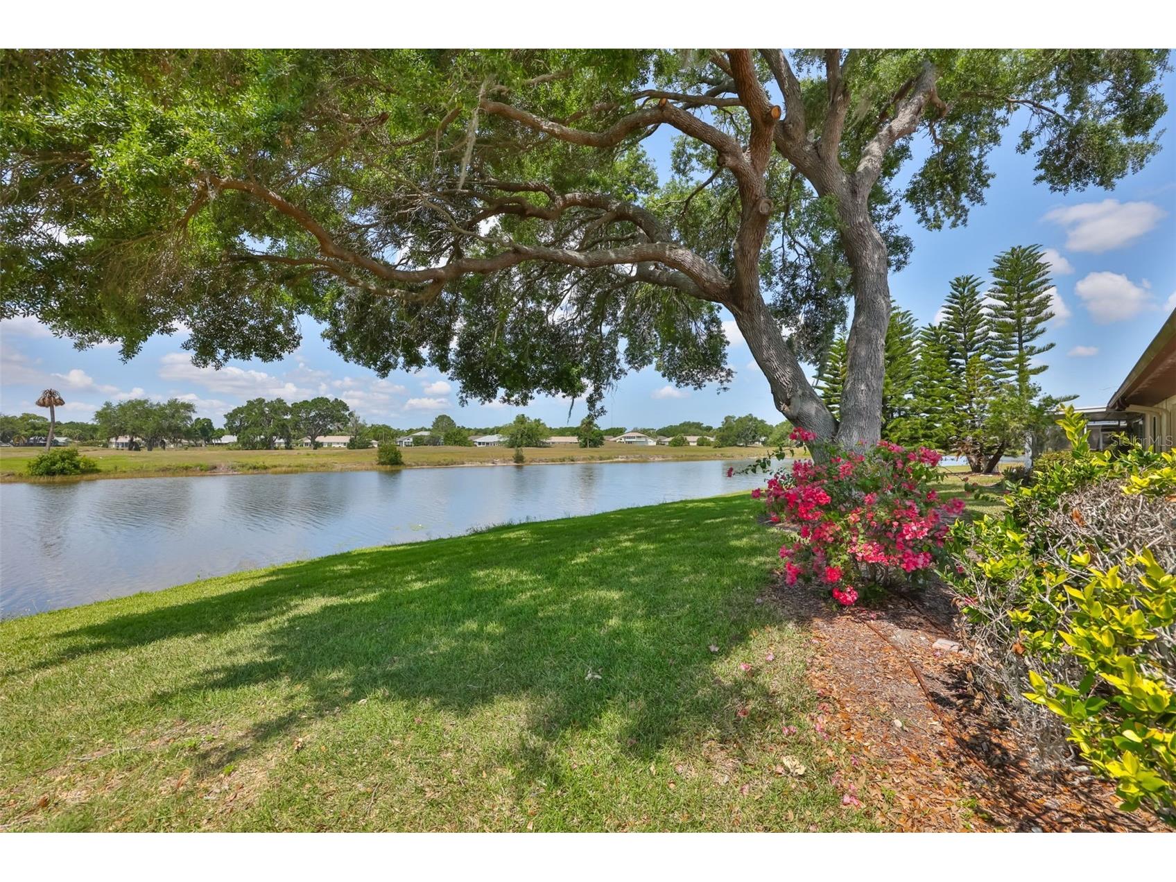 2611 Locksley Street #250 Sun City Center FL 33573 TB8501966 image44