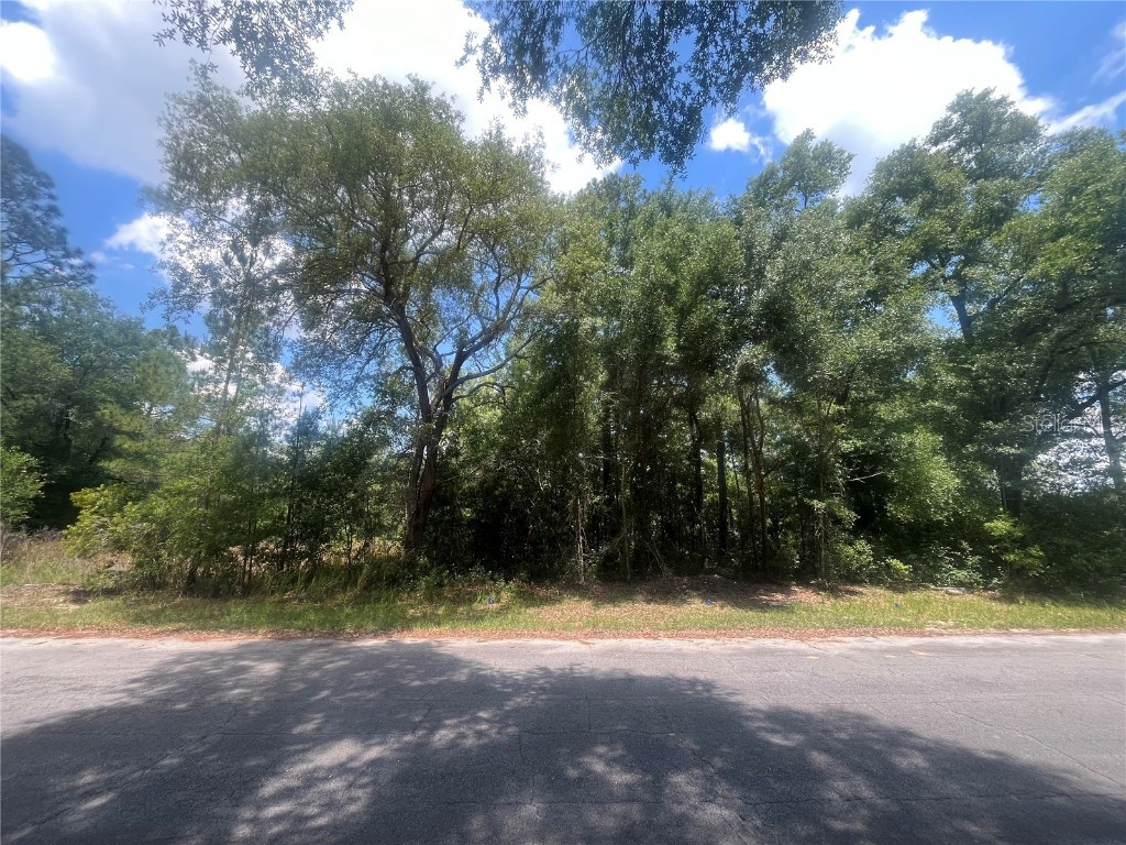 2611 W Royal Palm Drive Citrus Springs FL 34434 OK223963 image1