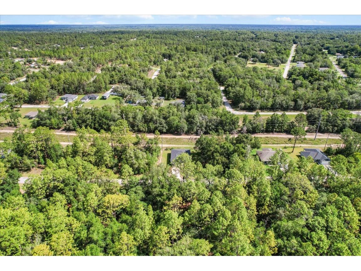 2611 W Royal Palm Drive Citrus Springs FL 34434 O6321700 image40