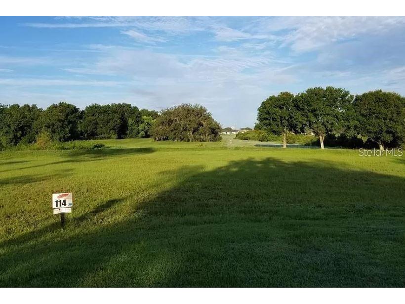 26112 Estates Ridge Drive Sorrento FL 32776 O6267458 image1