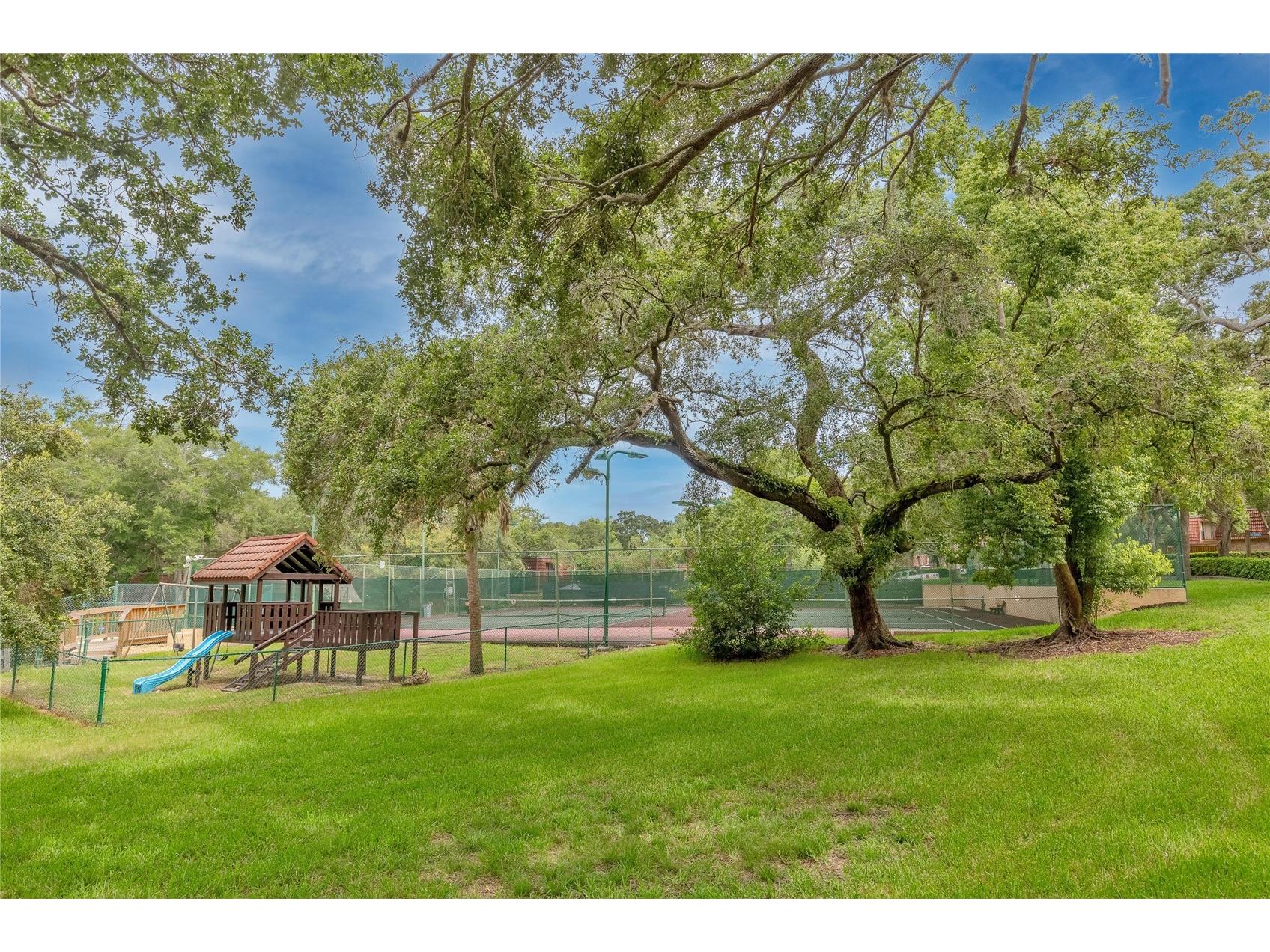 2612 2nd Court Palm Harbor FL 34684 O6412841 image27