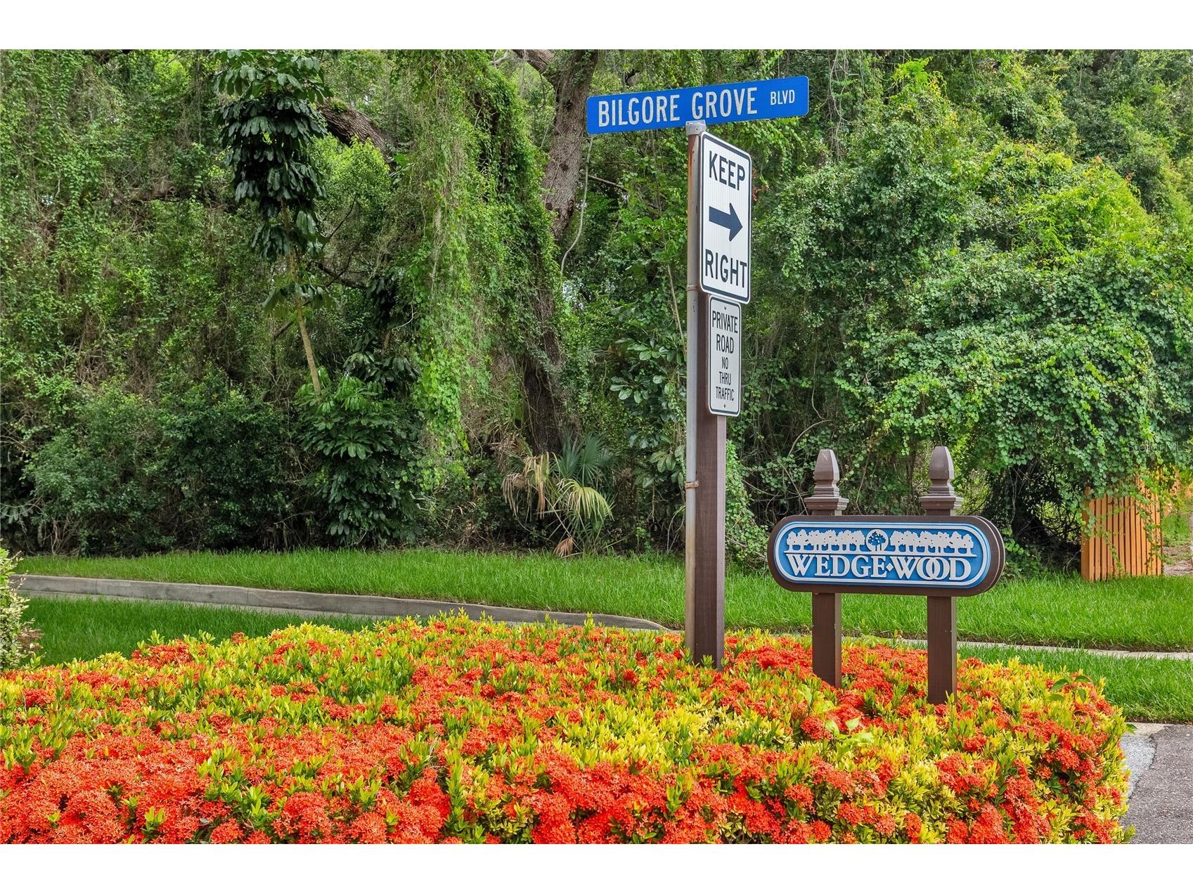 2612 2nd Court Palm Harbor FL 34684 O6412841 image28