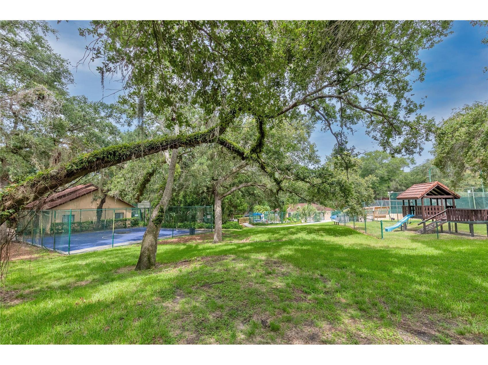 2612 2nd Court Palm Harbor FL 34684 O6412841 image29