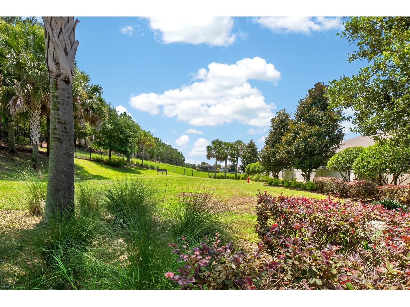 2612 Frazeek Court Clermont FL 34715 O6422732 image50