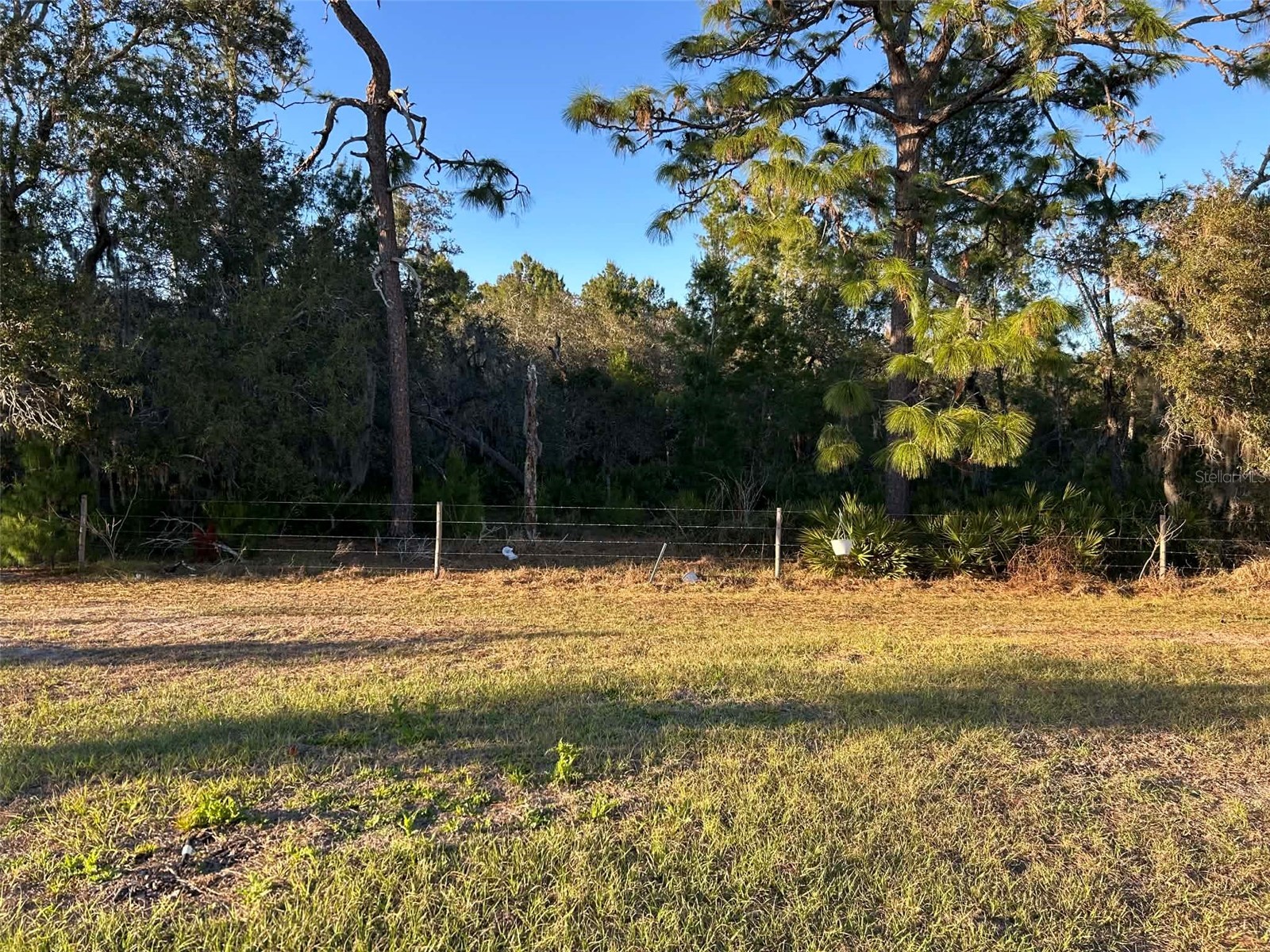 2612 Harmonia Hammock Road Harmony FL 34773 S5144492 image14