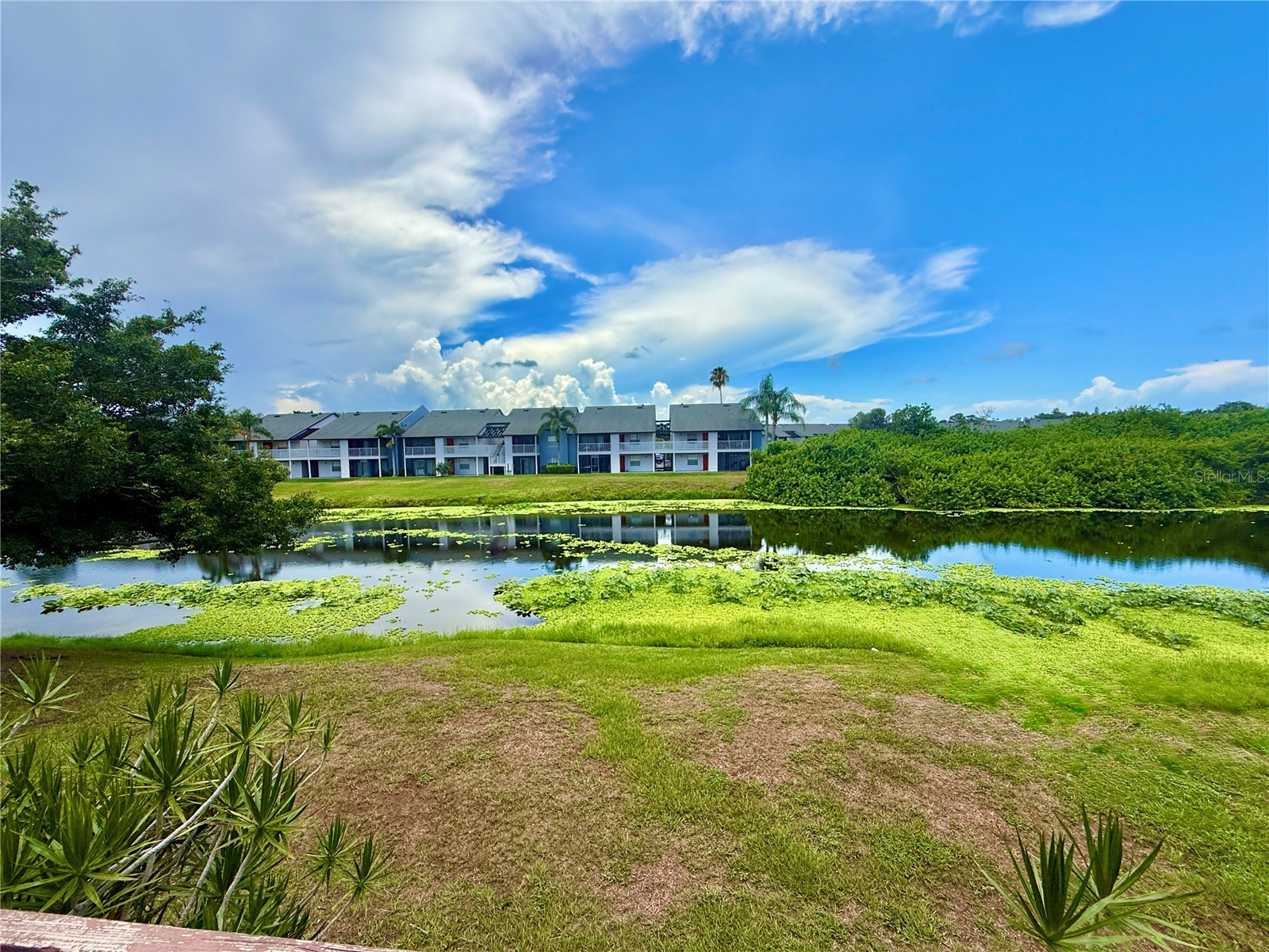 2612 Hidden Lake Drive N #D Sarasota FL 34237 A4699412 image17
