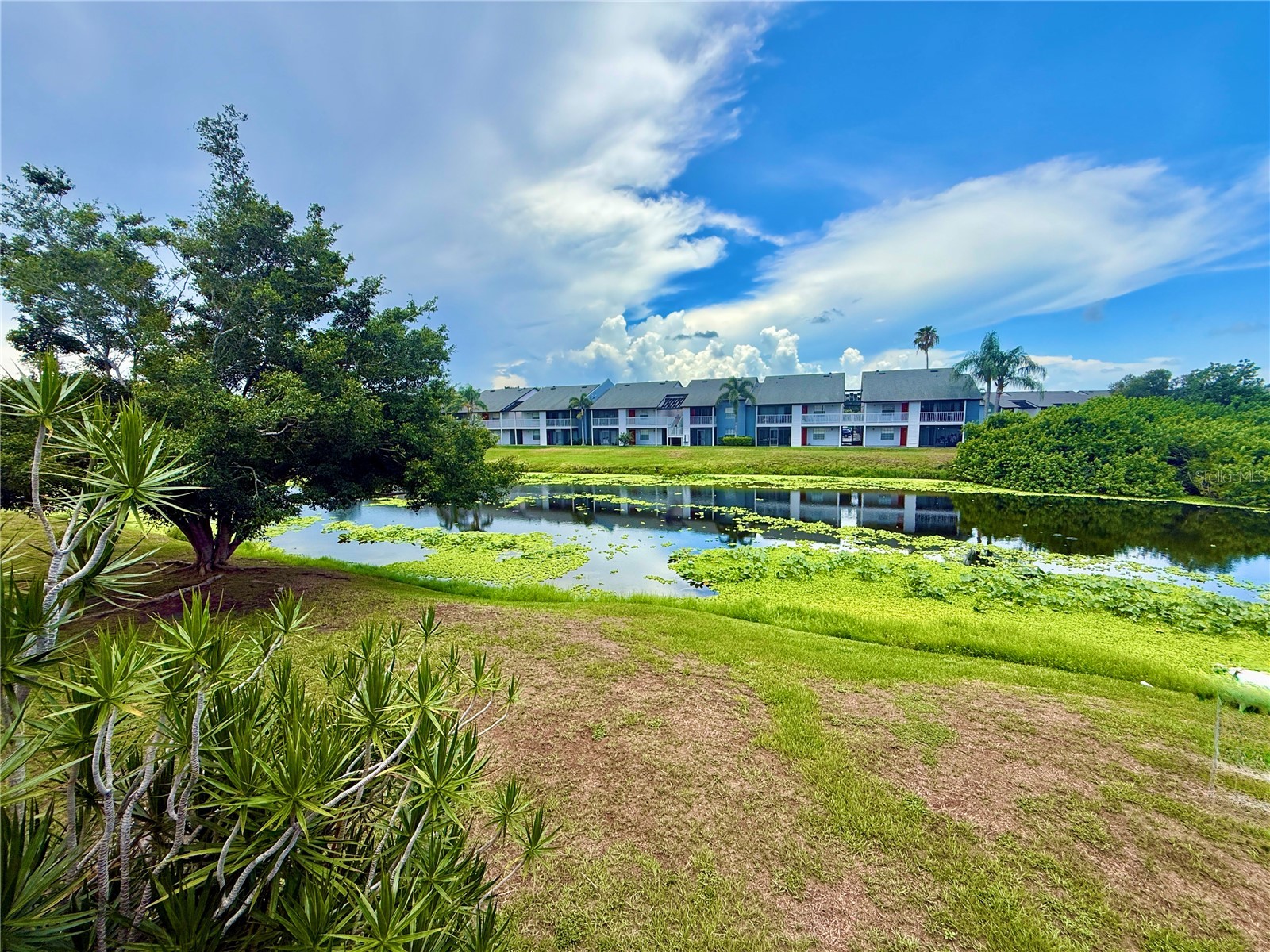 2612 Hidden Lake Drive N #D Sarasota FL 34237 A4699412 image18