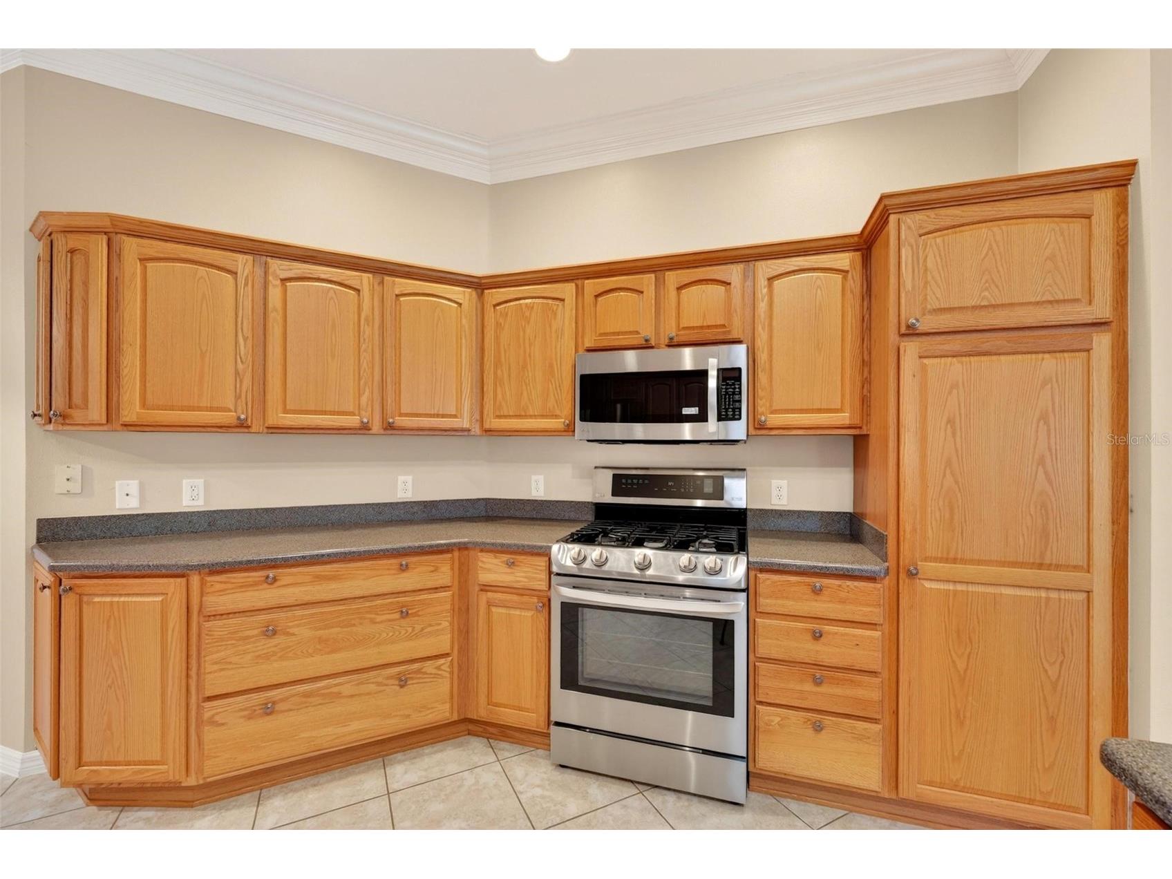 2612 Morven Park Way The Villages FL 32162 O6403402 image20