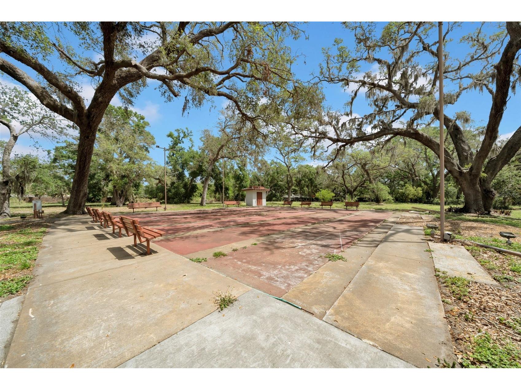 2612 Pearce Drive #209 Clearwater FL 33764 TB8463885 image25