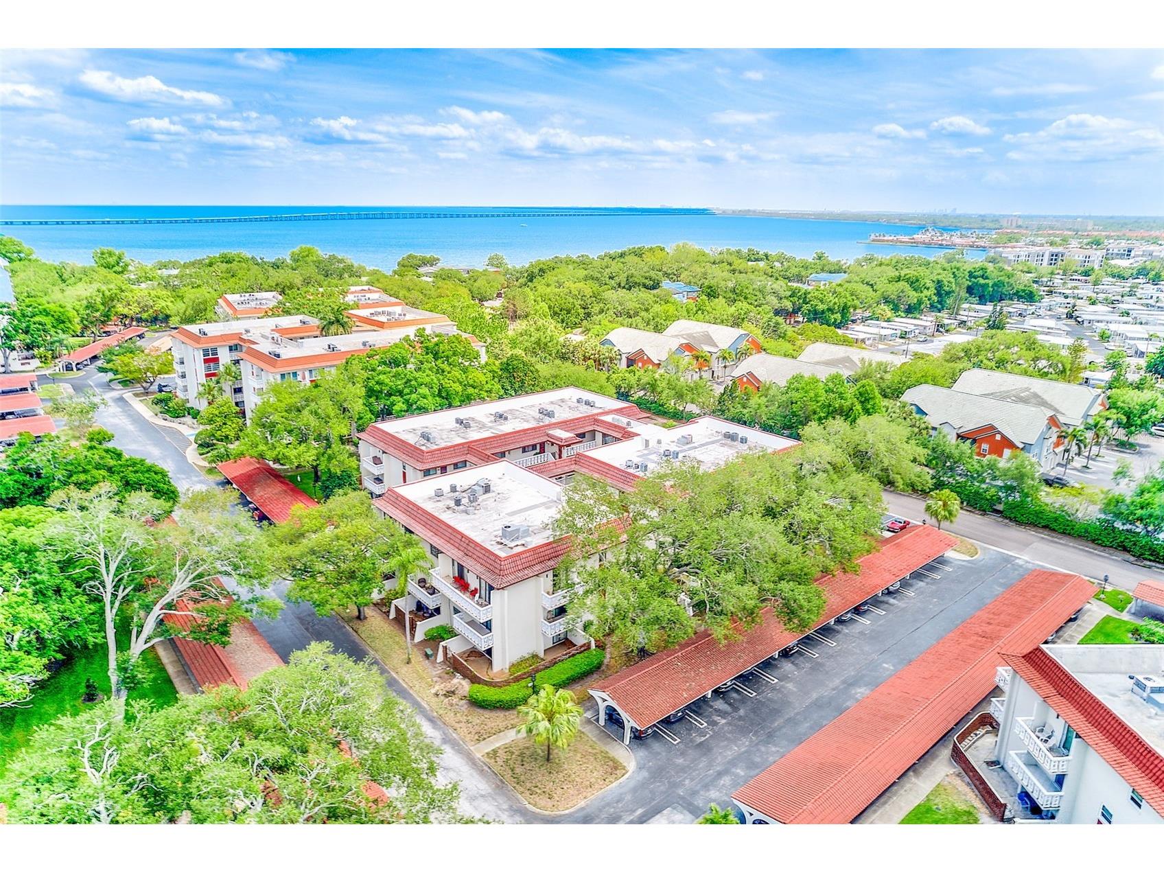 2612 Pearce Drive #209 Clearwater FL 33764 TB8500197 image31