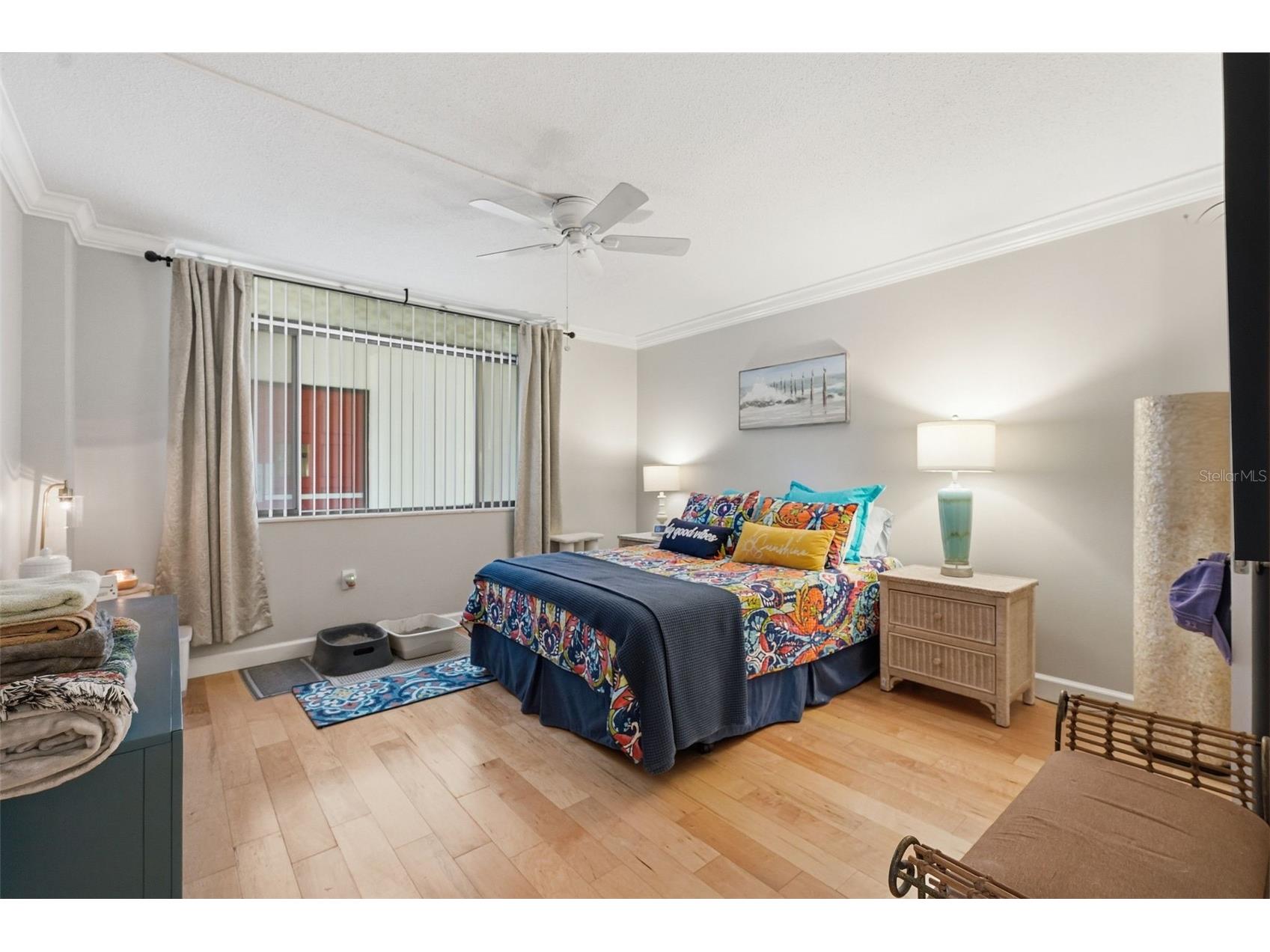 2612 Pearce Drive #211 Clearwater FL 33764 TB8514873 image2