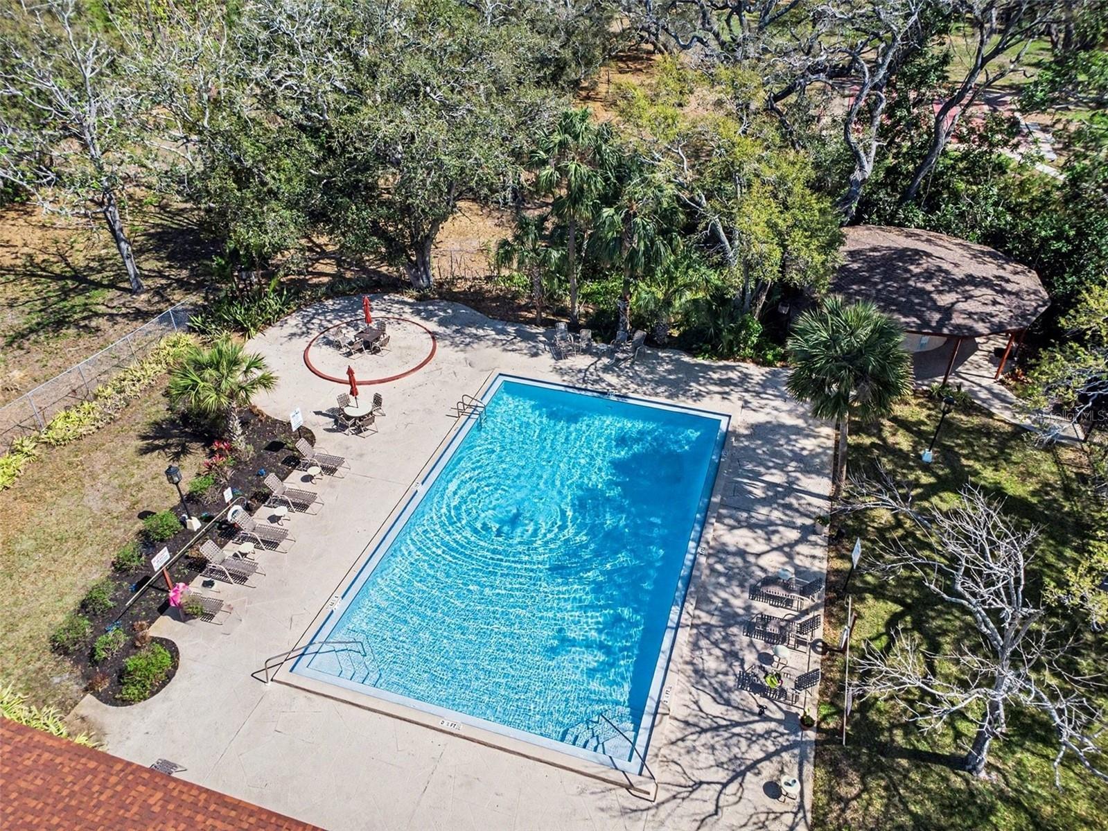 2612 Pearce Drive #301 Clearwater FL 33764 TB8490700 image28