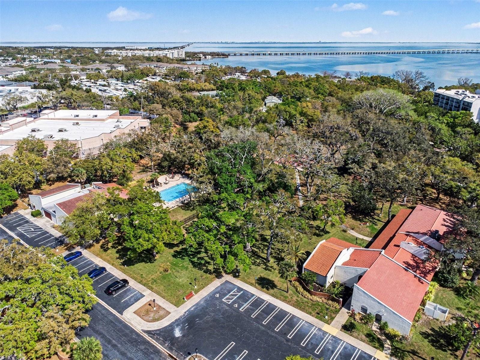 2612 Pearce Drive #301 Clearwater FL 33764 TB8490700 image29