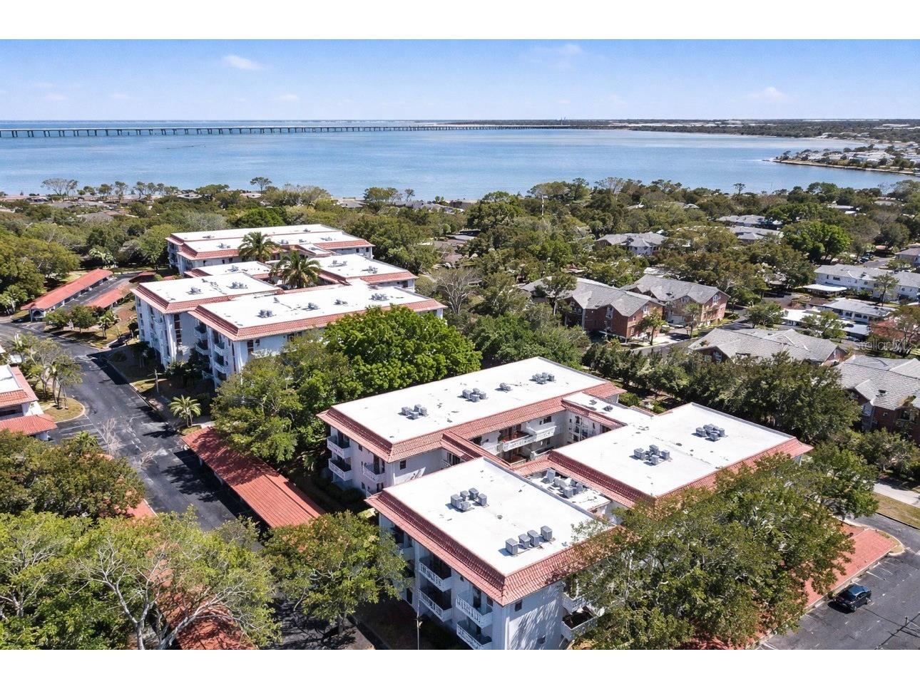 2612 Pearce Drive #301 Clearwater FL 33764 TB8490700 image33