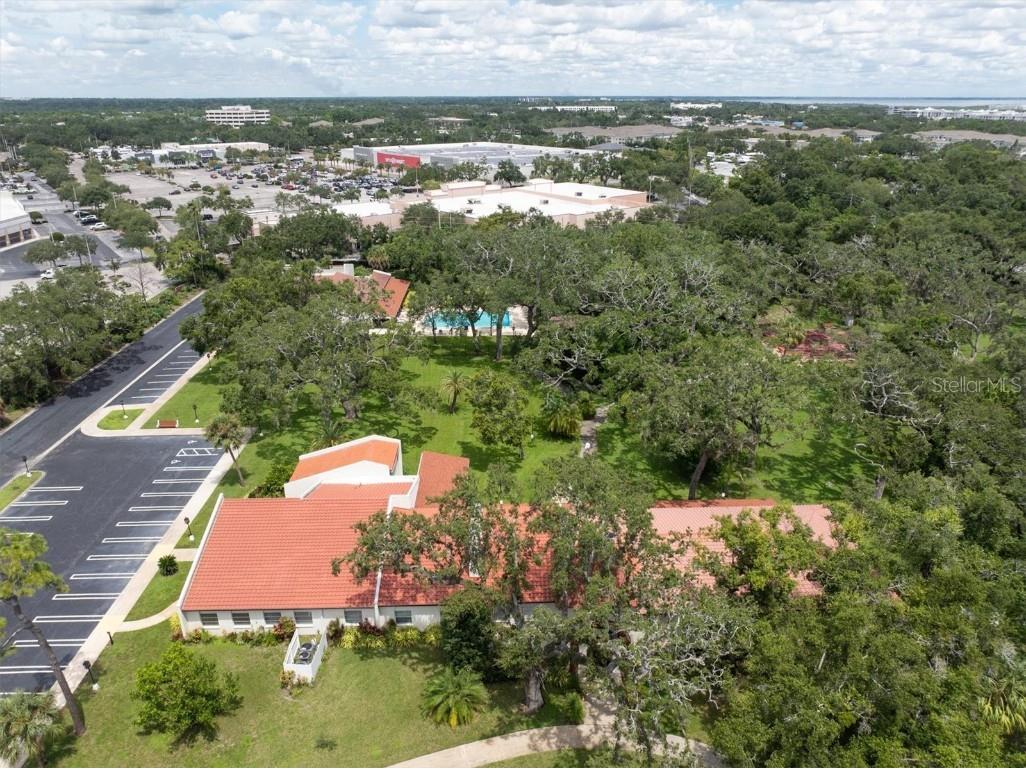 2612 Pearce Drive #310 Clearwater FL 33764 TB8426784 image28