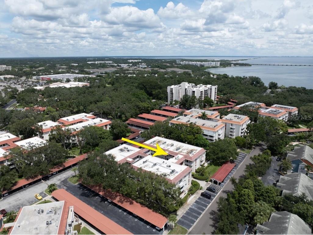 2612 Pearce Drive #310 Clearwater FL 33764 TB8426784 image29