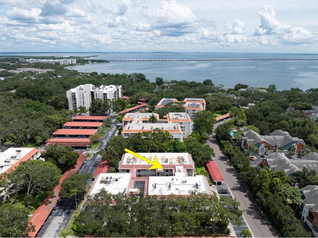 2612 Pearce Drive #310 Clearwater FL 33764 TB8426784 image34