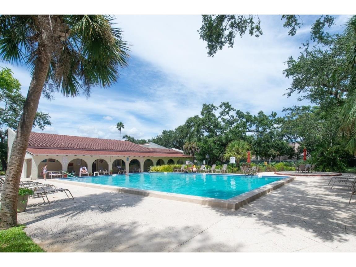 2612 Pearce Drive #310 Clearwater FL 33764 TB8426784 image37