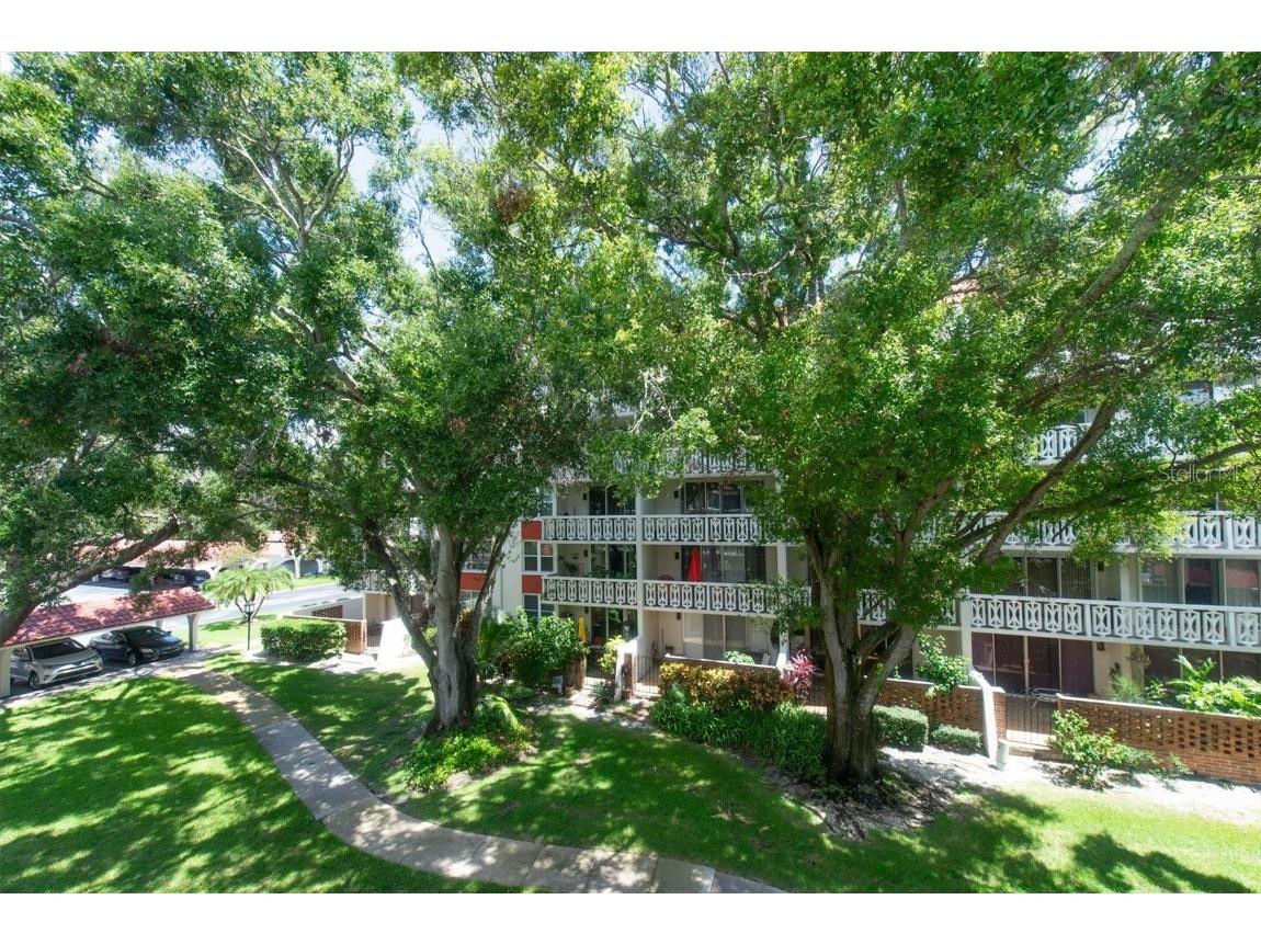 2612 Pearce Drive #310 Clearwater FL 33764 TB8426784 image45