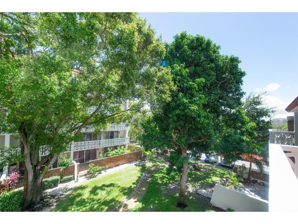 2612 Pearce Drive #310 Clearwater FL 33764 TB8426784 image46