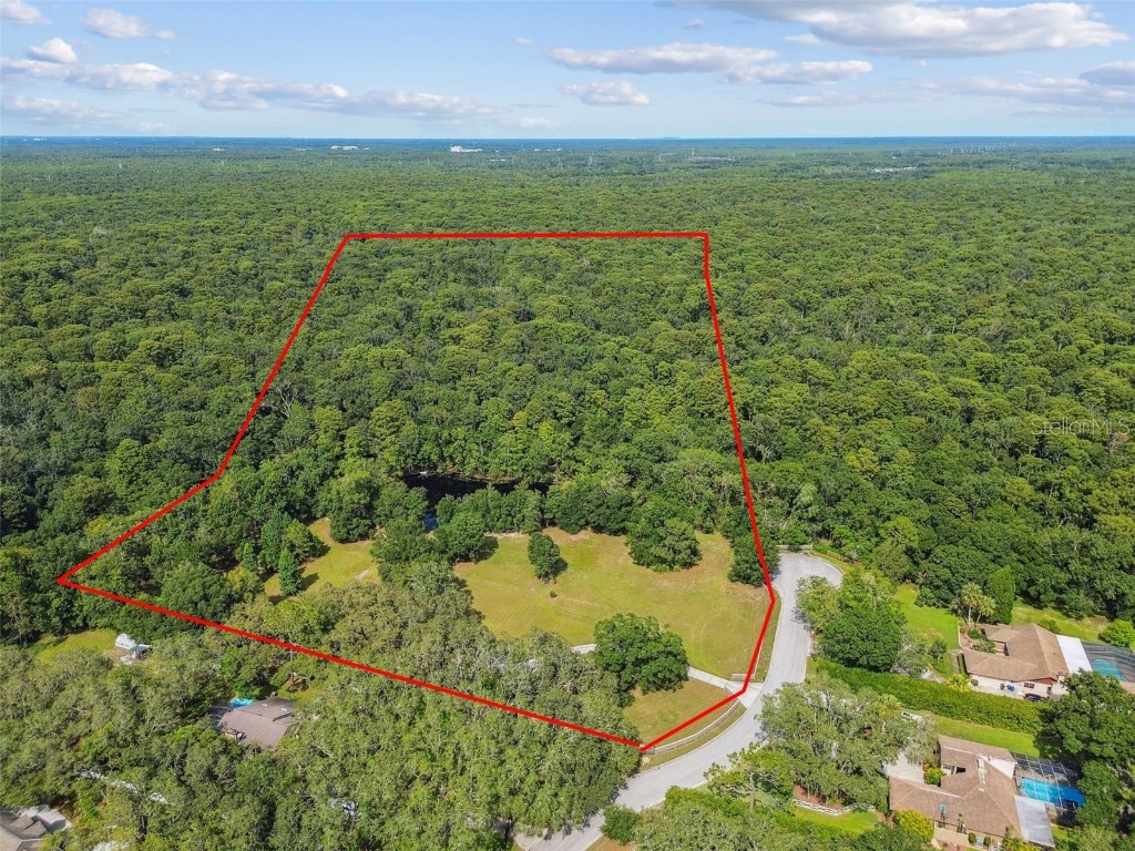 2612 Regal Oaks Lane Lutz FL 33559 TB8410486 image1