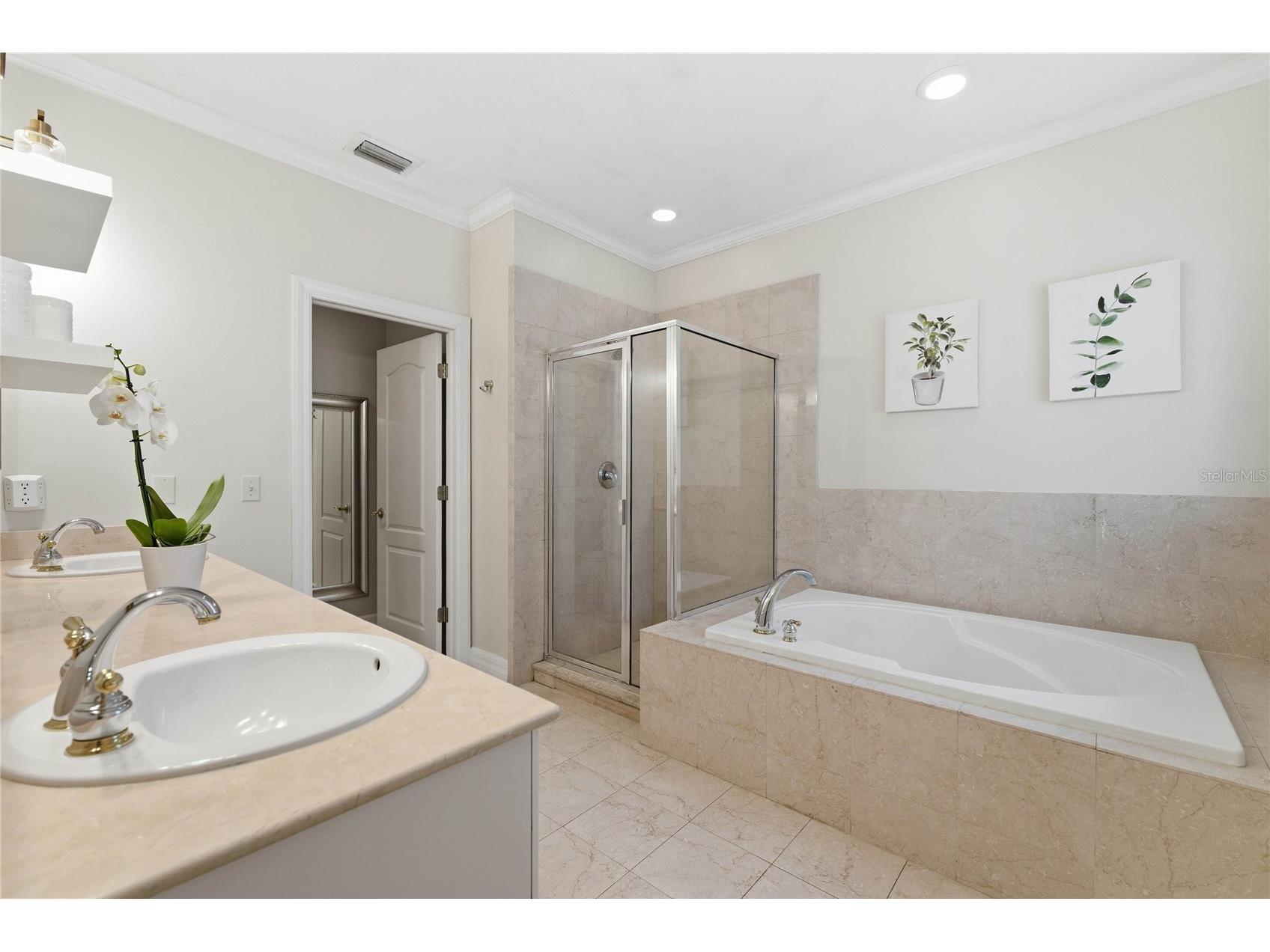 2612 W Wyoming Avenue Tampa FL 33611 TB8510281 image34